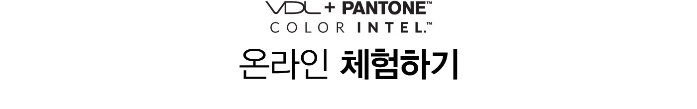 VDL + PANTONE. COLOR INTEL. 온라인 체험하기