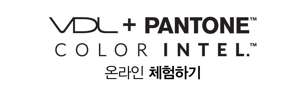 VDL + PANTONE. COLOR INTEL. 온라인 체험하기